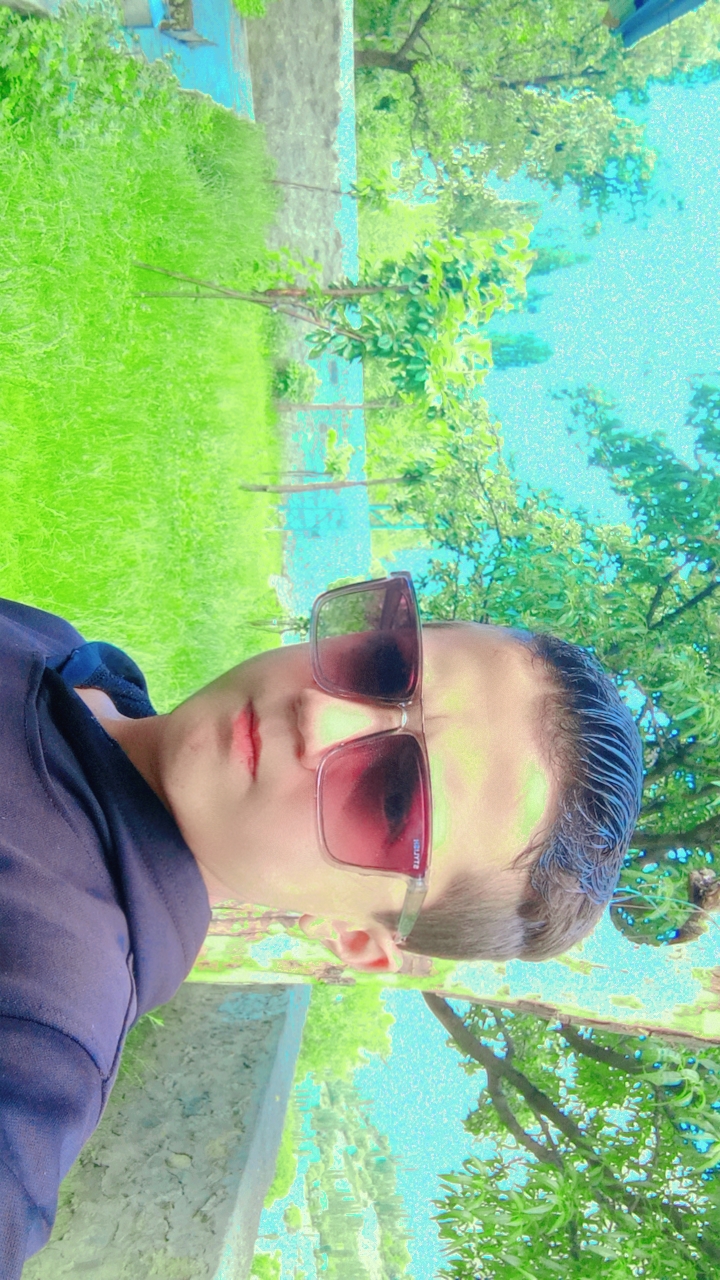 Profile Picture